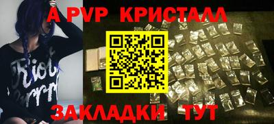 СК Новодвинск