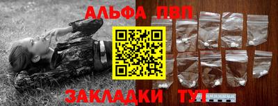СК Новодвинск
