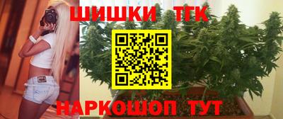 СК Новодвинск