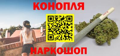 СК Новодвинск