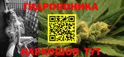 СК Новодвинск