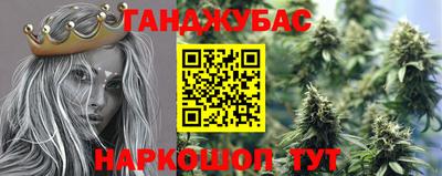 СК Новодвинск