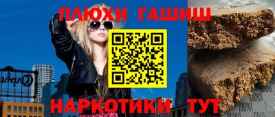 СК Новодвинск