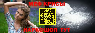 СК Новодвинск