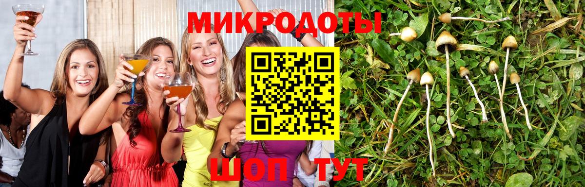 Псилоцибиновые грибы GOLDEN TEACHER Трёхгорный